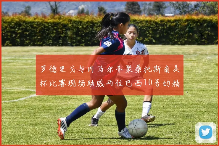 罗德里戈与内马尔齐聚桑托斯南美杯比赛现场助威两位巴西10号的精彩时刻
