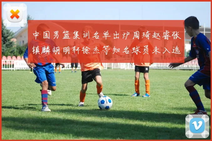 中国男篮集训名单出炉周琦赵睿张镇麟胡明轩徐杰等知名球员未入选
