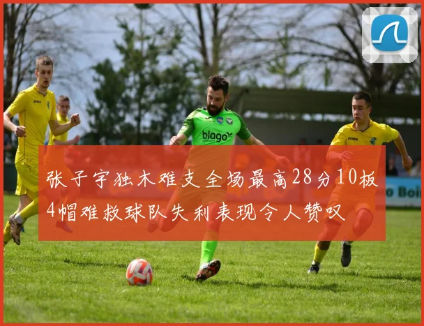 张子宇独木难支全场最高28分10板4帽难救球队失利表现令人赞叹
