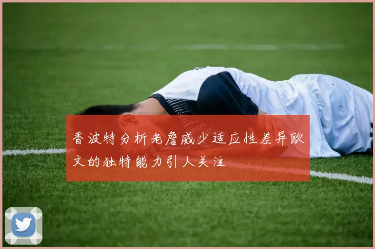香波特分析老詹威少适应性差异欧文的独特能力引人关注
